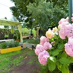 Mirana With Garden And Free Parking *