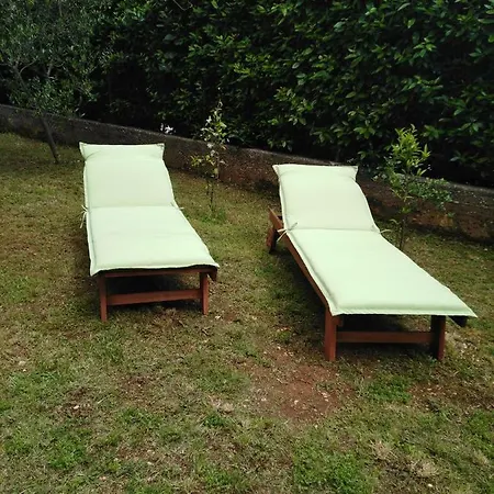 Mirana With Garden And Free Parking * 扎达尔