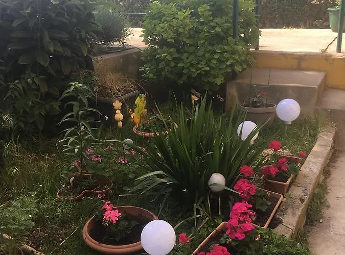 Mirana With Garden And Free Parking