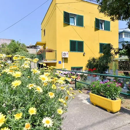 Mirana With Garden And Free Parking *
