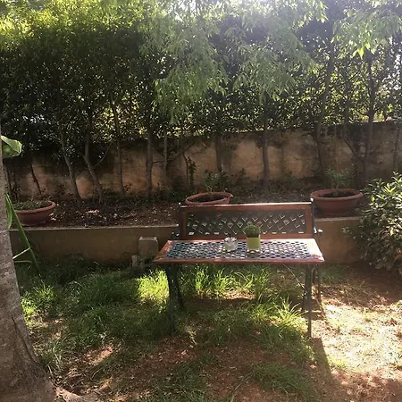Mirana With Garden And Free Parking Apartment