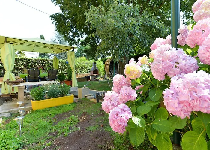 Mirana With Garden And Free Parking *